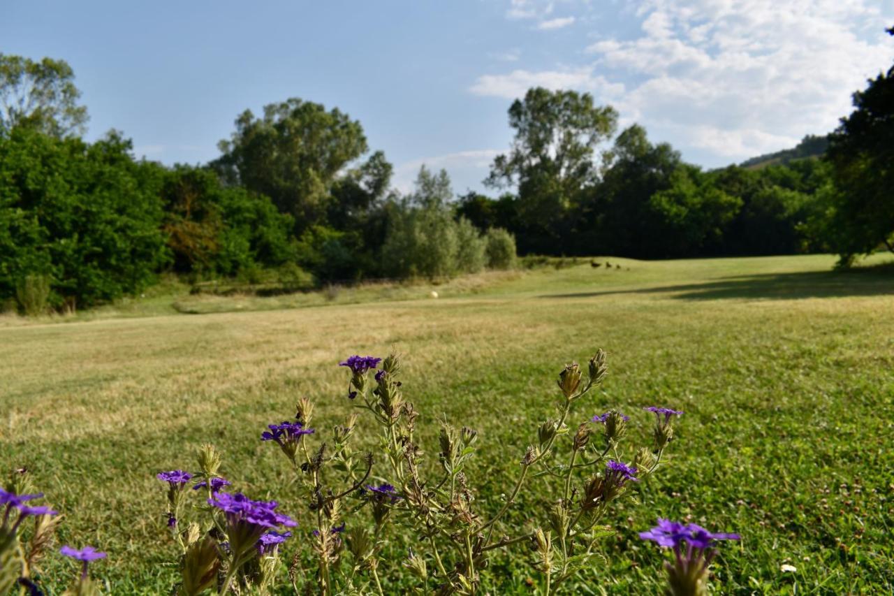Agriturismo La Sorgente Camerano Luaran gambar
