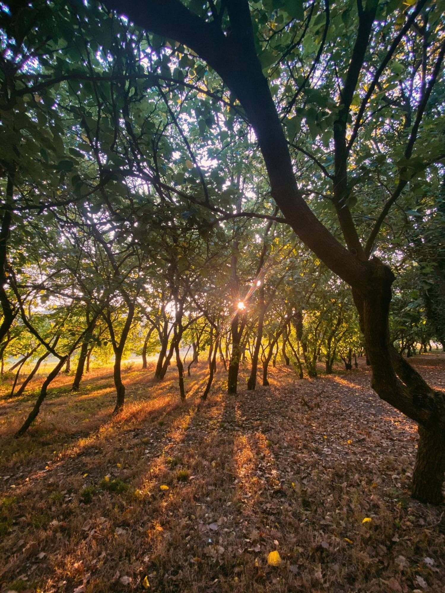 Agriturismo La Sorgente Camerano Luaran gambar