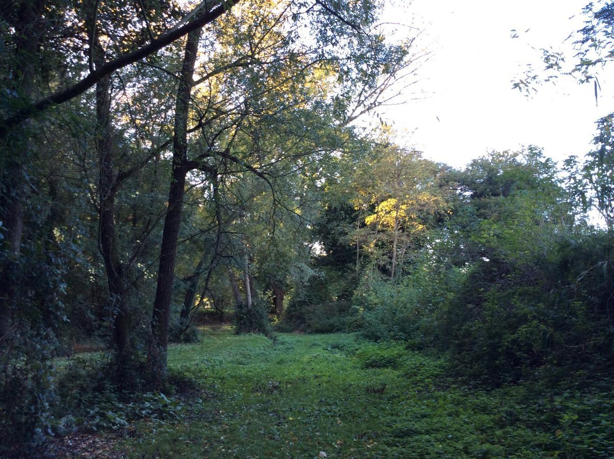 Agriturismo La Sorgente Camerano Luaran gambar