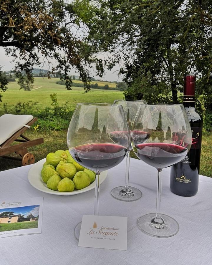 Agriturismo La Sorgente Camerano Luaran gambar